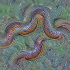 n01728572 thunder snake, worm snake, Carphophis amoenus